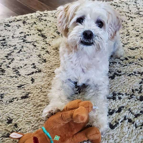 Nash